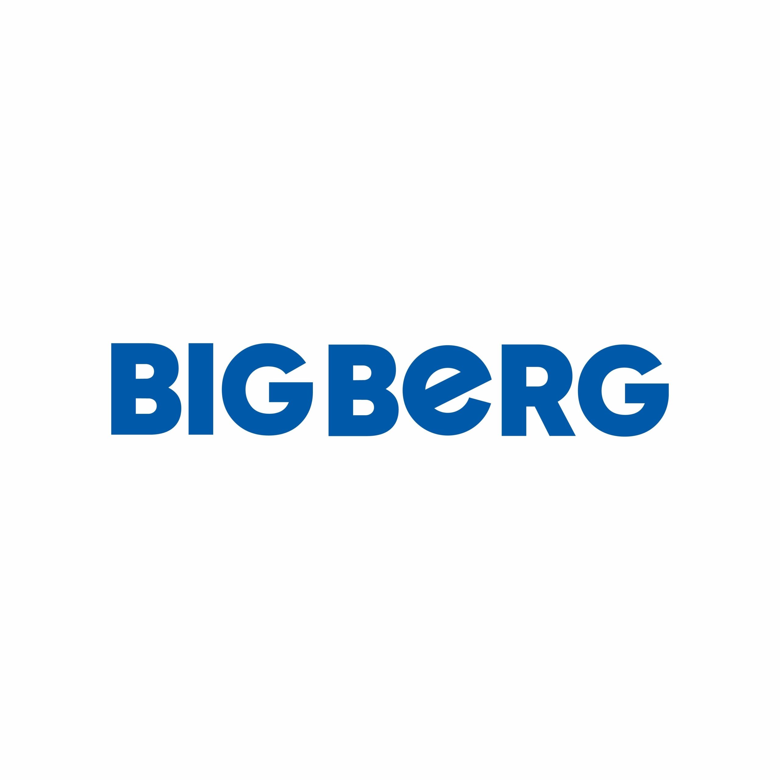 Big Berg Logo